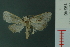  ( - RMNH.INS.19246)  @11 [ ] Unspecified (default): All Rights Reserved  Unspecified Unspecified
