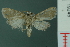  ( - RMNH.INS.19246)  @11 [ ] Unspecified (default): All Rights Reserved  Unspecified Unspecified