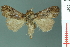  ( - RMNH.INS.19267)  @11 [ ] Unspecified (default): All Rights Reserved  Unspecified Unspecified