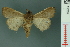  ( - RMNH.INS.19267)  @11 [ ] Unspecified (default): All Rights Reserved  Unspecified Unspecified