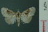  ( - RMNH.INS.19279)  @13 [ ] Unspecified (default): All Rights Reserved  Unspecified Unspecified