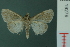  ( - RMNH.INS.19279)  @13 [ ] Unspecified (default): All Rights Reserved  Unspecified Unspecified