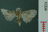  ( - RMNH.INS.19280)  @11 [ ] Unspecified (default): All Rights Reserved  Unspecified Unspecified