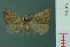  ( - RMNH.INS.19299)  @13 [ ] Unspecified (default): All Rights Reserved  Unspecified Unspecified