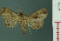  ( - RMNH.INS.19301)  @13 [ ] Unspecified (default): All Rights Reserved  Unspecified Unspecified