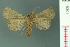  ( - RMNH.INS.19301)  @12 [ ] Unspecified (default): All Rights Reserved  Unspecified Unspecified