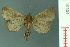  ( - RMNH.INS.19304)  @14 [ ] Unspecified (default): All Rights Reserved  Unspecified Unspecified