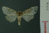  ( - RMNH.INS.19339)  @12 [ ] Unspecified (default): All Rights Reserved  Unspecified Unspecified