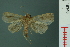  ( - RMNH.INS.19346)  @13 [ ] Unspecified (default): All Rights Reserved  Unspecified Unspecified