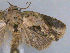  ( - RMNH.INS.27663)  @13 [ ] Unspecified (default): All Rights Reserved  Unspecified Unspecified