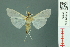  ( - RMNH.INS.19392)  @13 [ ] Unspecified (default): All Rights Reserved  Unspecified Unspecified