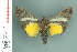  ( - RMNH.INS.19395)  @13 [ ] Unspecified (default): All Rights Reserved  Unspecified Unspecified