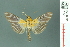  ( - RMNH.INS.19401)  @14 [ ] Unspecified (default): All Rights Reserved  Unspecified Unspecified