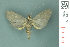  ( - RMNH.INS.19403)  @13 [ ] Unspecified (default): All Rights Reserved  Unspecified Unspecified