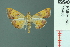  ( - RMNH.INS.19460)  @14 [ ] Unspecified (default): All Rights Reserved  Unspecified Unspecified