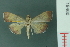  ( - RMNH.INS.19460)  @13 [ ] Unspecified (default): All Rights Reserved  Unspecified Unspecified