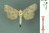  ( - RMNH.INS.19486)  @12 [ ] Unspecified (default): All Rights Reserved  Unspecified Unspecified