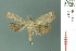  ( - RMNH.INS.19487)  @12 [ ] Unspecified (default): All Rights Reserved  Unspecified Unspecified