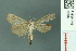  ( - RMNH.INS.19487)  @12 [ ] Unspecified (default): All Rights Reserved  Unspecified Unspecified