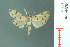  ( - RMNH.INS.19501)  @13 [ ] Unspecified (default): All Rights Reserved  Unspecified Unspecified