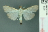  ( - RMNH.INS.19524)  @11 [ ] Unspecified (default): All Rights Reserved  Unspecified Unspecified