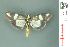 ( - RMNH.INS.19548)  @13 [ ] Unspecified (default): All Rights Reserved  Unspecified Unspecified