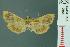  ( - RMNH.INS.19606)  @12 [ ] Unspecified (default): All Rights Reserved  Unspecified Unspecified