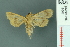  ( - RMNH.INS.19607)  @12 [ ] Unspecified (default): All Rights Reserved  Unspecified Unspecified