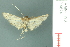  ( - RMNH.INS.19624)  @13 [ ] Unspecified (default): All Rights Reserved  Unspecified Unspecified