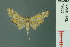  ( - RMNH.INS.19633)  @13 [ ] Unspecified (default): All Rights Reserved  Unspecified Unspecified