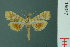  ( - RMNH.INS.19677)  @13 [ ] Unspecified (default): All Rights Reserved  Unspecified Unspecified