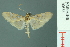  ( - RMNH.INS.19678)  @13 [ ] Unspecified (default): All Rights Reserved  Unspecified Unspecified