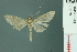  ( - RMNH.INS.19679)  @11 [ ] Unspecified (default): All Rights Reserved  Unspecified Unspecified