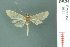  ( - RMNH.INS.19679)  @11 [ ] Unspecified (default): All Rights Reserved  Unspecified Unspecified