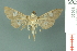  ( - RMNH.INS.19690)  @13 [ ] Unspecified (default): All Rights Reserved  Unspecified Unspecified
