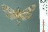  ( - RMNH.INS.19691)  @13 [ ] Unspecified (default): All Rights Reserved  Unspecified Unspecified