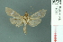  ( - RMNH.INS.19691)  @12 [ ] Unspecified (default): All Rights Reserved  Unspecified Unspecified