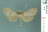  ( - RMNH.INS.19708)  @14 [ ] Unspecified (default): All Rights Reserved  Unspecified Unspecified