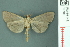  ( - RMNH.INS.19708)  @13 [ ] Unspecified (default): All Rights Reserved  Unspecified Unspecified