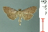  ( - RMNH.INS.19711)  @13 [ ] Unspecified (default): All Rights Reserved  Unspecified Unspecified