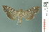  ( - RMNH.INS.19713)  @14 [ ] Unspecified (default): All Rights Reserved  Unspecified Unspecified