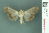  ( - RMNH.INS.19713)  @14 [ ] Unspecified (default): All Rights Reserved  Unspecified Unspecified