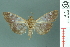  ( - RMNH.INS.19714)  @14 [ ] Unspecified (default): All Rights Reserved  Unspecified Unspecified