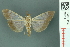  ( - RMNH.INS.19714)  @14 [ ] Unspecified (default): All Rights Reserved  Unspecified Unspecified