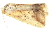  ( - BIOUG06552-G10)  @12 [ ] CreativeCommons - Attribution (2014) CBG Photography Group Centre for Biodiversity Genomics
