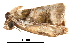  ( - BIOUG06657-A07)  @12 [ ] CreativeCommons - Attribution (2014) CBG Photography Group Centre for Biodiversity Genomics