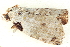  ( - BIOUG06657-F04)  @12 [ ] CreativeCommons - Attribution (2014) CBG Photography Group Centre for Biodiversity Genomics