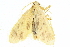  ( - BIOUG06667-D07)  @13 [ ] CreativeCommons - Attribution (2014) CBG Photography Group Centre for Biodiversity Genomics