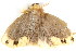  ( - BIOUG06676-C02)  @13 [ ] CreativeCommons - Attribution (2014) CBG Photography Group Centre for Biodiversity Genomics