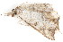  ( - BIOUG06676-C05)  @12 [ ] CreativeCommons - Attribution (2014) CBG Photography Group Centre for Biodiversity Genomics